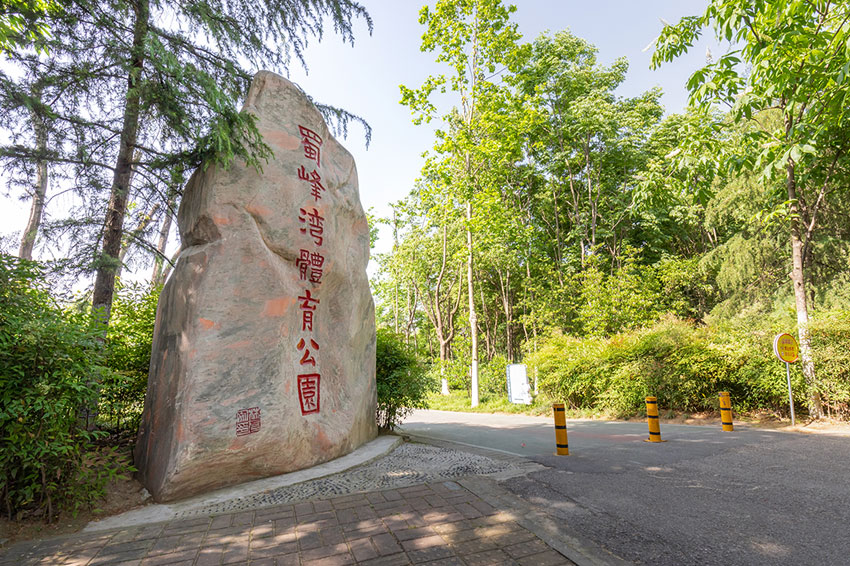 合肥綠化養護服務